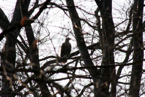 Killikus® Fotographie Killikus® Fotographie